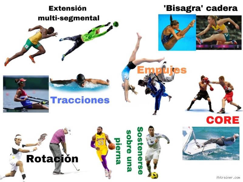 ¿Cuáles son los 7 movimientos fundamentales?