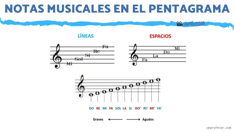 ¿Dónde va cada nota en el pentagrama?
