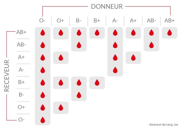 ¿Es B diferente de B+?