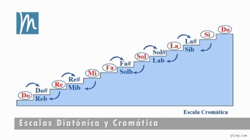 ¿La escala cromática tiene 7 tonos enteros?