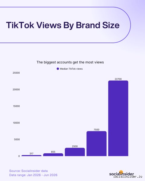 ¿5000 visualizaciones en TikTok se vuelven virales?