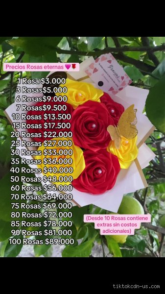 ¿Cuánto cuestan 10 rosas en TikTok?