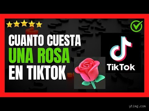¿Cuánto dinero se gana por 1000 rosas en TikTok?