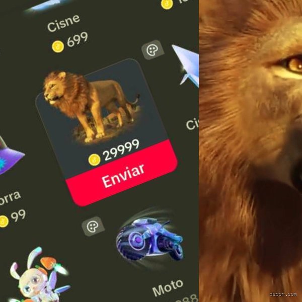 ¿Cuánto vale que te den un león en TikTok?