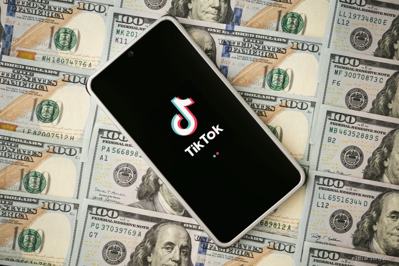 ¿TikTok paga 1000 dólares por un millón de visualizaciones?