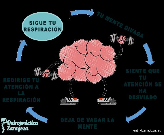 ¿Cómo activar y entrenar mi mente? Guía definitiva para potenciar tu cerebro