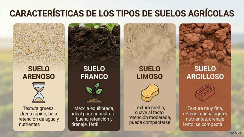 ¿Cuáles son los 3 tipos de terrenos?