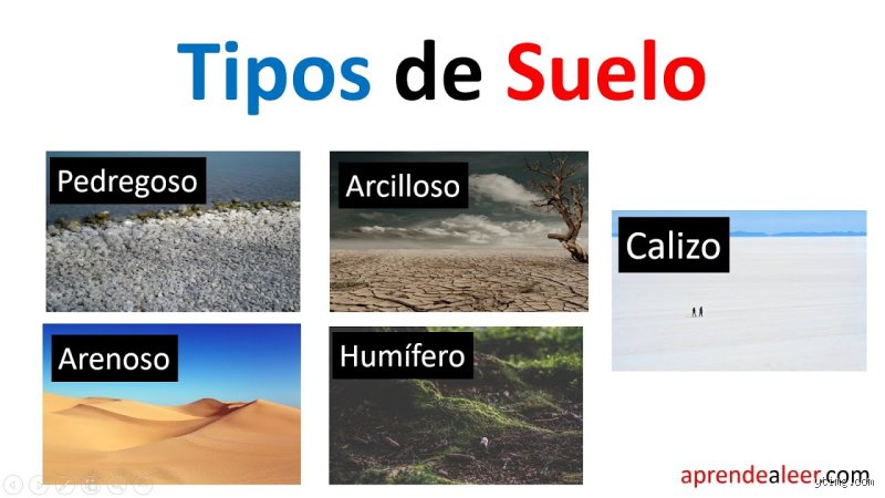 ¿Cuáles son los tres tipos de suelos?