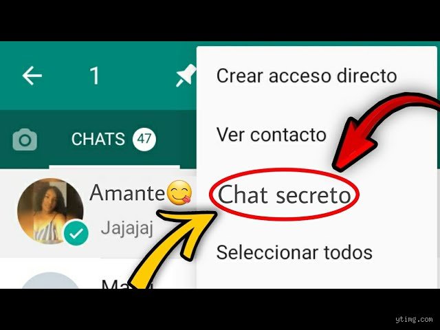 ¿Cómo activar el chat secreto de WhatsApp?