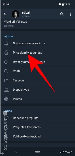 ¿Cómo hacer para estar conectado en WhatsApp y no aparecer en línea?