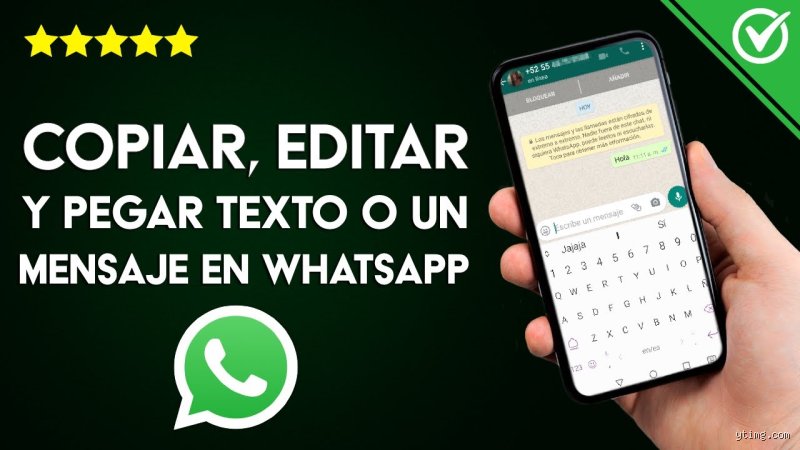 ¿Cómo puedo copiar y pegar una conversación de WhatsApp?