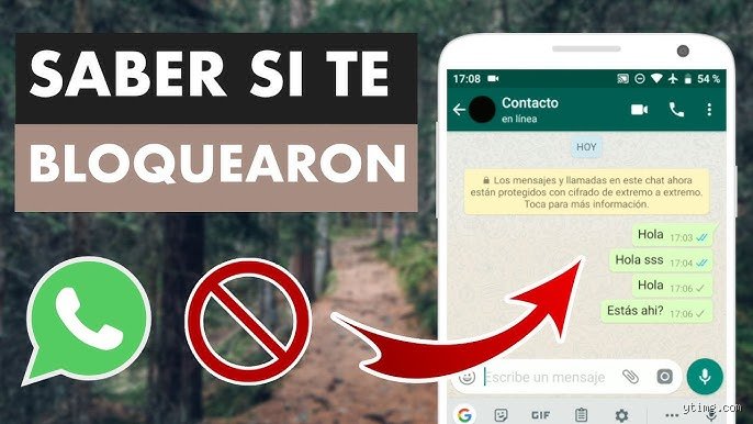 ¿Cómo saber si me restringieron en WhatsApp?
