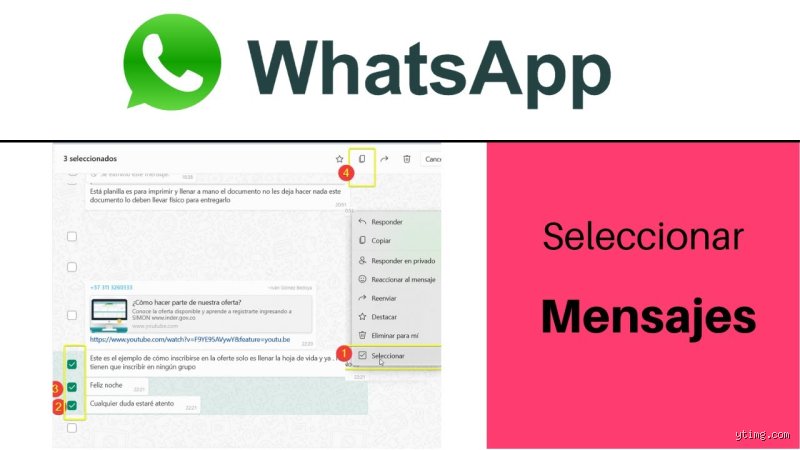 ¿Cómo seleccionar todos los mensajes de una conversación de WhatsApp?