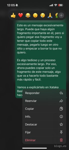 ¿Es posible copiar una conversación de texto completa?