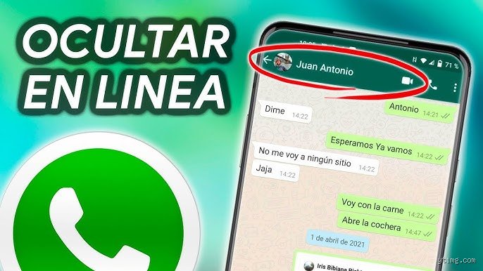¿Puedo estar en línea pero desconectado en WhatsApp?